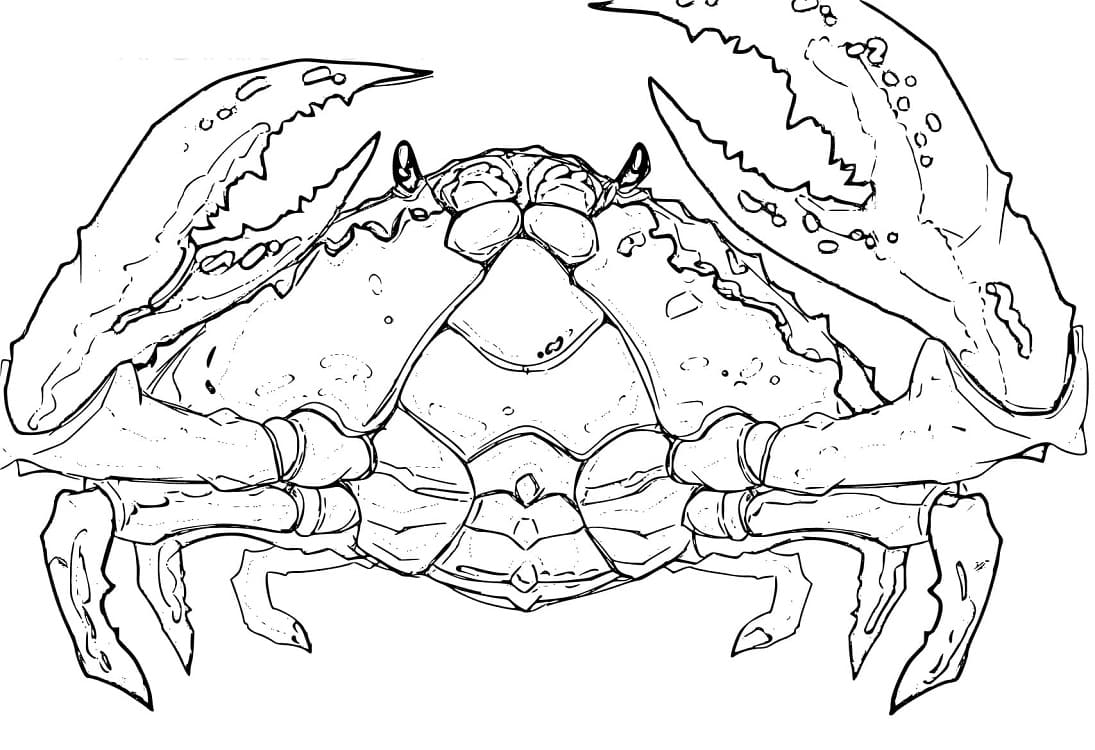Akutagawa Crab