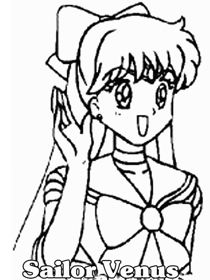 Happy Sailor Venus