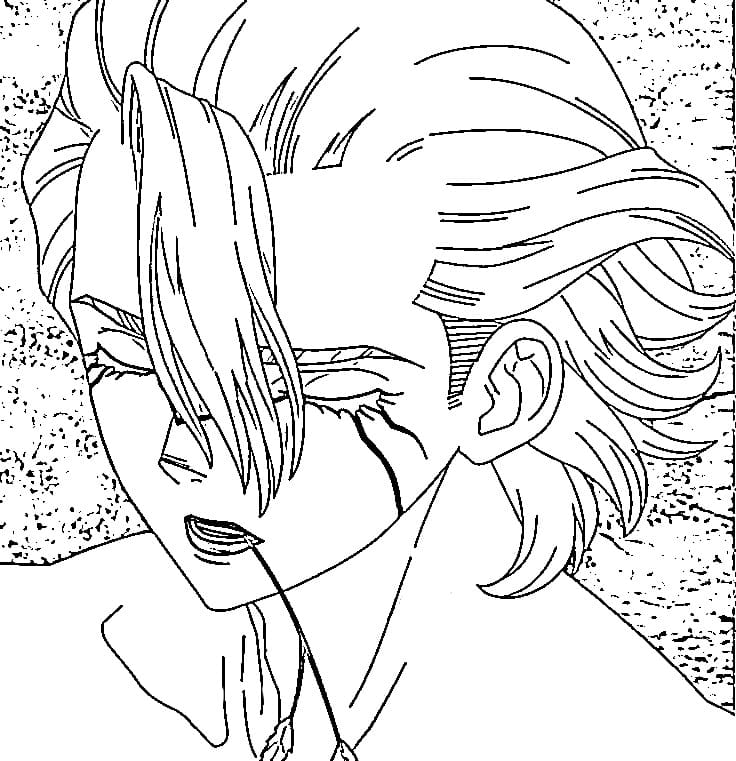 Dr Stone Stanley Snyder