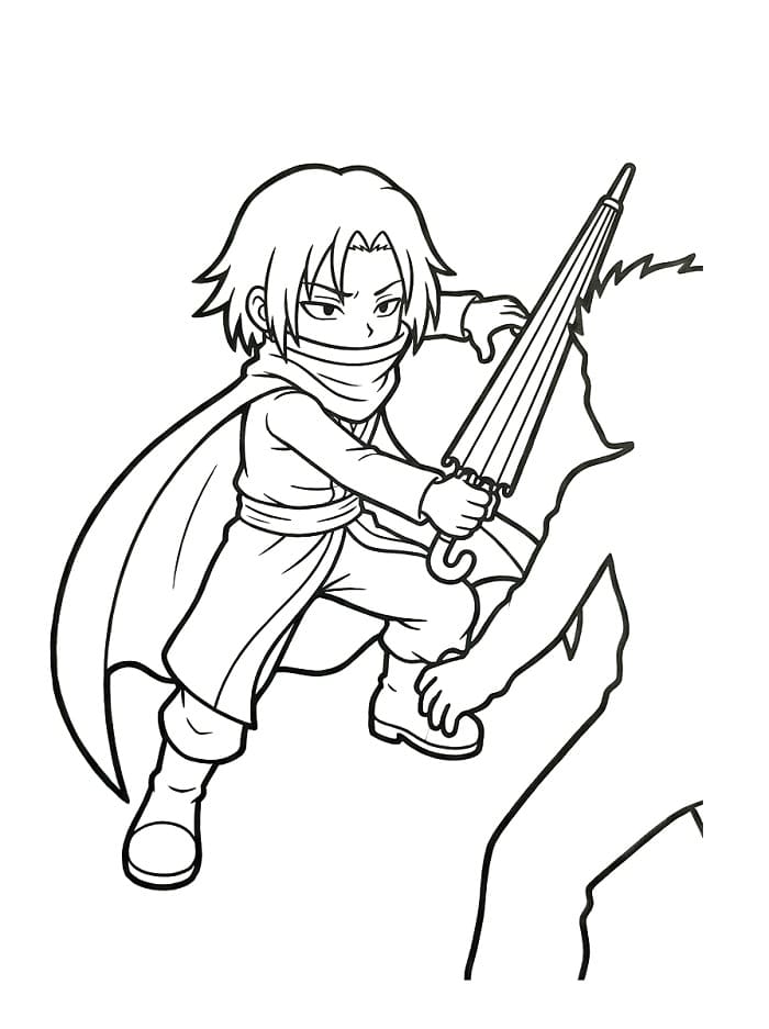 Hunter x Hunter Feitan Portor